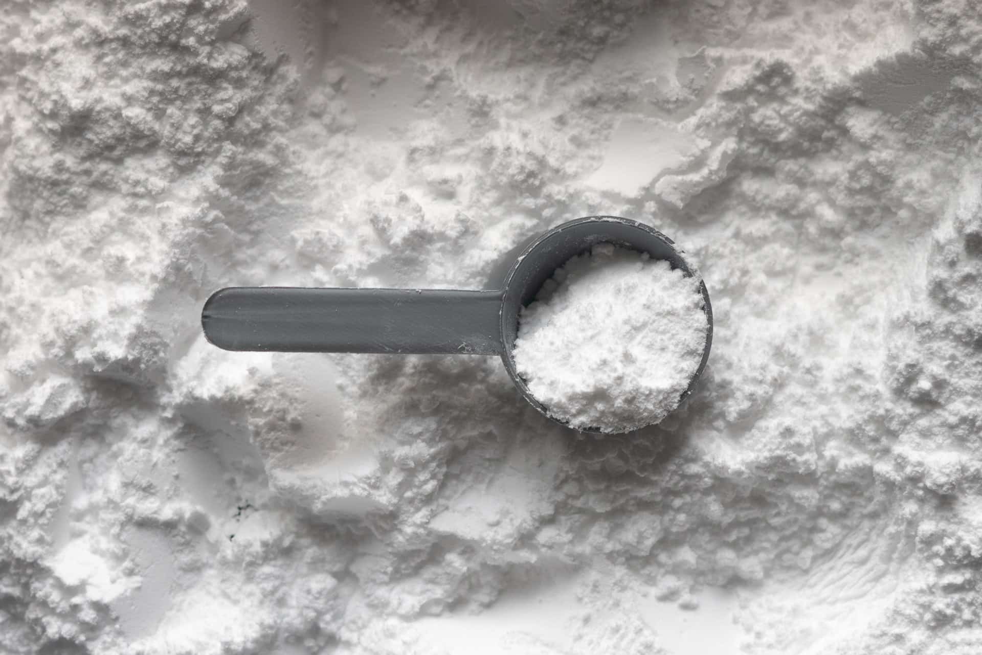 Øg din muskelmasse med det rigtige proteinpulver